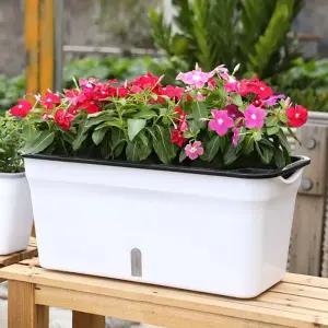 초록가든 자동급수 화분/화분/꽃집/심플한/물주기/기르기/식물/귀여운/파종/관찰/야채/체험/농작물/학습