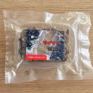 장어낚시 땅강아지 말지렁이 미꾸라지 빙어 특급미끼 특효미끼 민물낚시 만능피싱