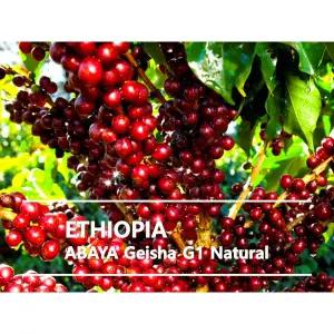 커피생두 에티오피아 아바야 게이샤 내추럴 G1 1kg 에티오피아커피 생두 티타임 아이스티 모임 외식 카페인