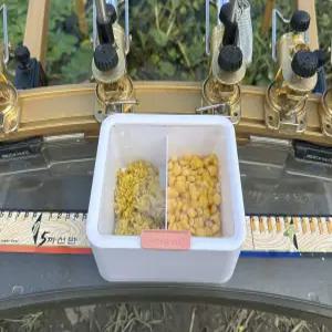 투인원 떡밥그릇 민물 낚시 떡밥통 미끼 밑밥 통 그릇 붕어 중층 내림 바닥