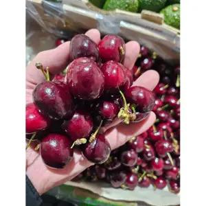 아삭달콤 프리미엄 고당도 칠레산 체리 제철 생체리