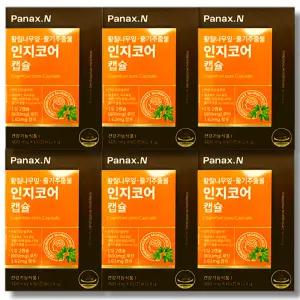 휴온스N 파낙스엔 인지코어 400mg x 60캡슐 6박스 황칠나무잎 줄기추출물