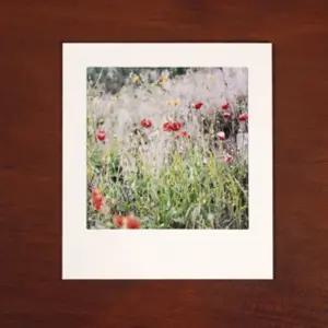 종이액자 5X5 화이트 10장/종이/액자/디자인/액자틀/미니/DIY/데코/꾸미기/사진/장식/만들기/페이퍼/프레임