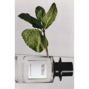 ZARA WATERLILY TEA DRESS 오드 퍼퓸 100ML (3.4 FL. OZ)