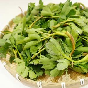 여수 금오도 방풍나물 2kg 노지 갯방풍나물 봄나물 산나물 Q