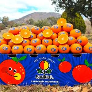 고당도 썬키스트 만다린 감귤 4kg