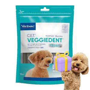 (강아지랜덤사은품) 버박 C.E.T 베지덴트 후레쉬 덴탈껌 XS(초소형), 120g, 1개