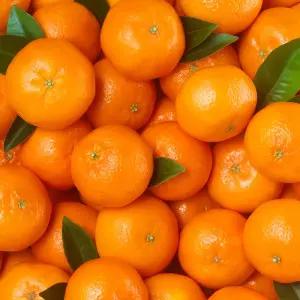 딜라이트 만다린 3kg