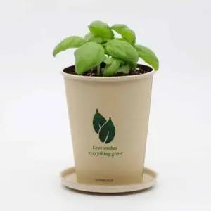 컵가든 스위트바질 허브씨앗 식물체험