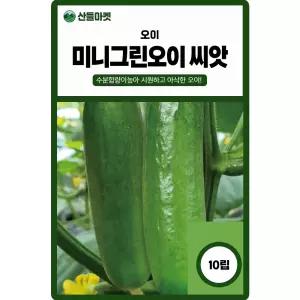 미니그린 오이 씨앗 10립 흰가루병 노균병에 강한 수분 많은 오이씨 종자