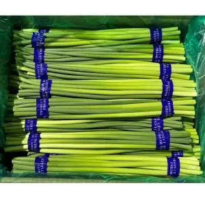 7kg 단쫑 마늘쫑 수입마늘쫑 업소용 급식 도매