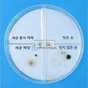 과학 실험용 세균 배양 억제 실험 키트 4인 과학체험세트 과학놀이교재