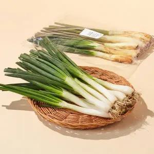 [신선장인] 강호현 함양파 (1kg/봉)