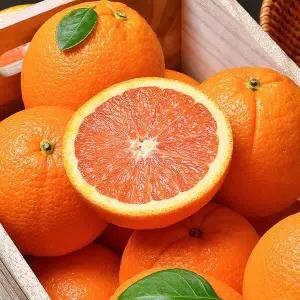 고당도 카라카라 오렌지 10과 특대과(개당280g내외)