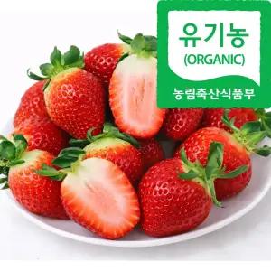 맛보장 유기농 육보딸기(특) 500g 2팩