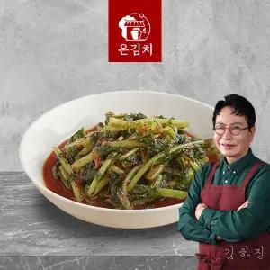 온김치 김하진의 별미 열무김치 2kg