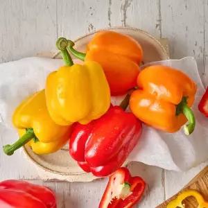 팜스프링 산지직송 국내산 파프리카 2kg 못난이) 외