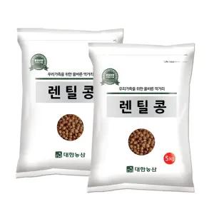 브라운 렌틸콩 10kg (5kg 2봉) / 렌즈콩 잡곡