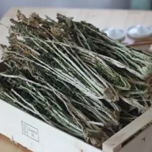 [신선한아침] 시래기 양구 펀치볼 건시래기 500g