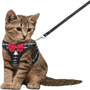 고양이 목줄 및 하네스 세트 통기성 개 반려동물 조절 가능한 메쉬 강아지 토끼 탈출 방지 블랙 XXS