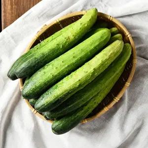 아삭한 국내산 백다다기 오이 10kg