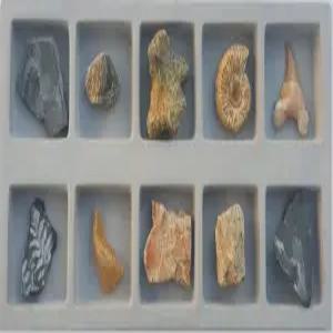 [더원사이언스] 한솔 화석 표본 I (10종세트)/화석표본/표본류/과학교구/과학영재