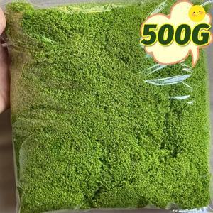 인공 녹색 식물 영원한 생명 이끼 DIY 공예 잔디 집 거실 정원 장식 미니 소형 호환 조경 인조 30-500g