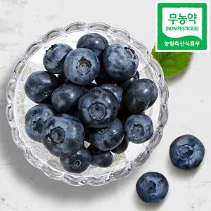 무농약 친환경 생블루베리 16mm 400g (국내산 / 100g x 4팩)