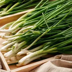 전청프레시 국내산 햇 쪽파 흙/깐쪽파 1단