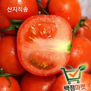 백점마켓 엄선 완숙 찰토마토 당도좋은 신선 제철 토마토 가정용 1kg,2Kg,3k