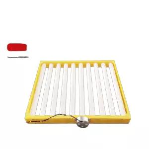 자동 부화기 플레이트 포함 알부화 계란 전란판 파란색