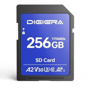 디지에라 256gb ls100 sdxc uhs-i 메모리 - 내비게이션 홈 장치, 카드 시스템(1팩) v30, c10, 자동차 컴퓨터용 170mb/s, uhd, 카드, 카메라, u3, sd 디지털 시어터 최대 4k