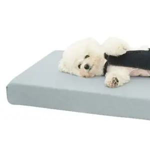 고양이쿠션 강아지 푹신한 쇼파 침대 블루 대형 논슬립 매트 1P