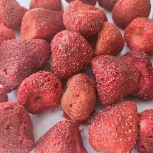 말린과일 딸기 딸기칩 100g 간식 딸기칩 100g 말린과일