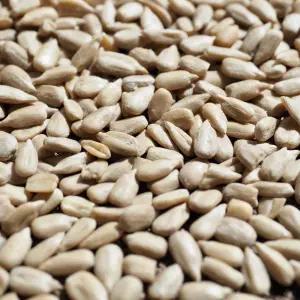 넛슈슈 해바라기씨 2kg (500g x 4봉) 소포장