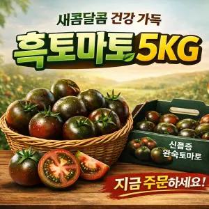 흑토마토 3번과, 5kg, 1개