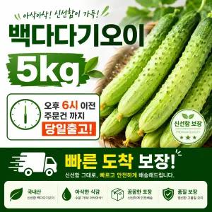 다다기오이5kg 상, 5kg, 1개