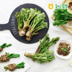 2026 순창 참 두릅(원순) 880g / 220g*4팩