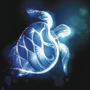 푸른 행운 거북 (패브릭) 보석십자수 30x30