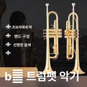 고음 C 트럼펫 연습용 연습 용 관악기 가방