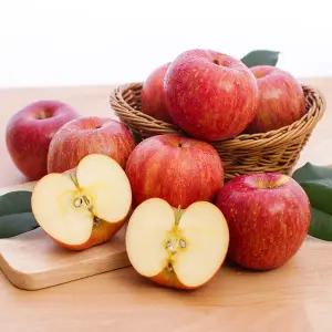 [롯데백화점]자연맛남 경북 부사 가정용(A급) 사과 1kg (소과/7과내외)