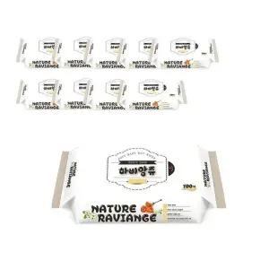 엠보싱 물티슈 네이처티슈 100매 10개