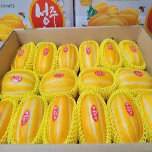 성주 참외 선물용 프리미엄 꿀참외 꿍이네 5kg 10kg