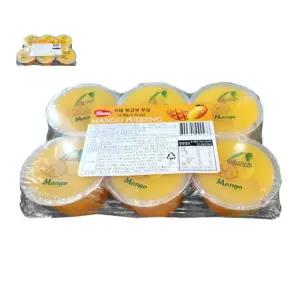 망고맛 푸딩(르네 120gx6입)X10개