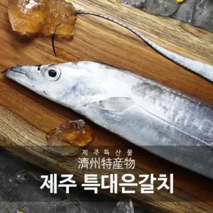 특大사이즈! 오늘 제주 특大갈치 300g X 6마리, 총 24토막