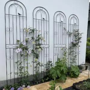 식물지지대 아이비 지주대 능소화 오이 정원꾸미기 넝쿨 나선형 철제 포도