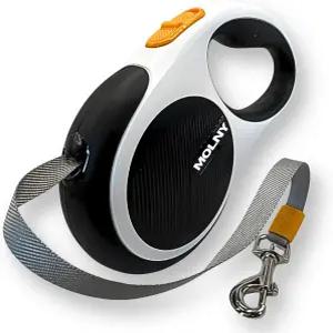 반려동물을 위한 접이식 개 목줄 최대 66파운드 16인치 헤비 듀티 반사 나일론 테이프 엉킴 방지 원 버튼