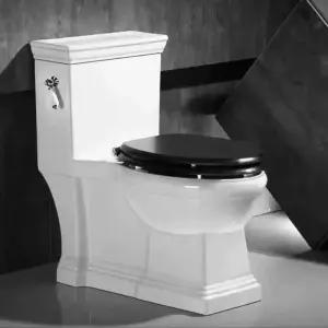 레트로 양변기 호텔 레스토랑 럭셔리 인테리어 변기 클래식