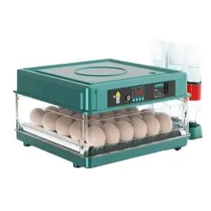 계란 부화기 조류 달걀 병아리 유정란 메추리