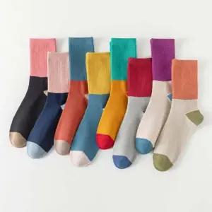 비비드컬러배색 양말 8켤레세트 여성 여자 면 양말